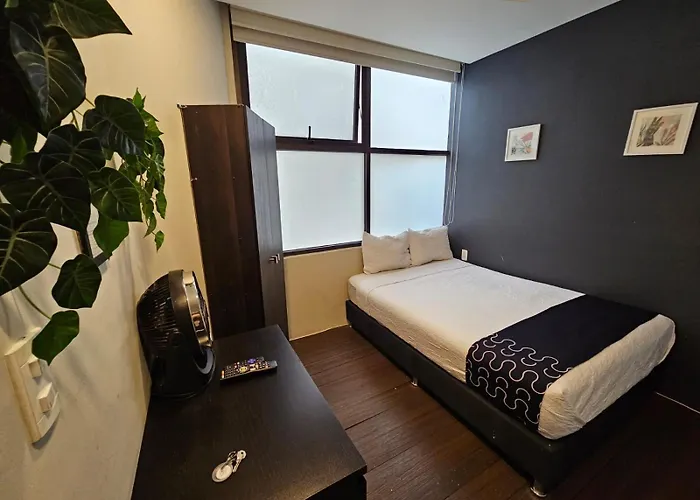 Hotel Singular Socrates